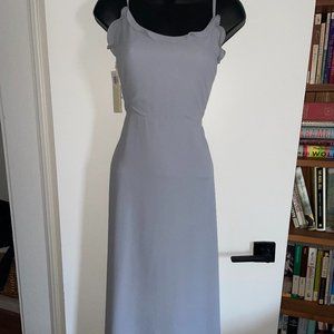 Wilfred Aritzia Philomène Pearl Grey A-Line Lined Dress Size 8